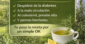 627536727 1535973361391277 5223190567696375626 n