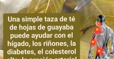 628050373 1660548861981022 3714108125634563278 n