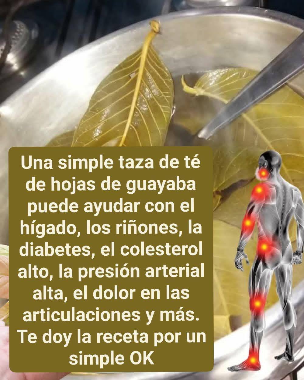 628050373 1660548861981022 3714108125634563278 n