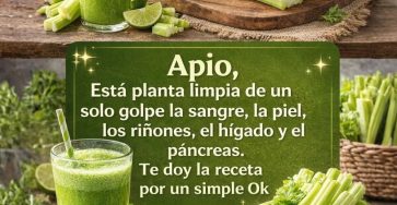 629273174 1537984664523480 9104766981817022915 n