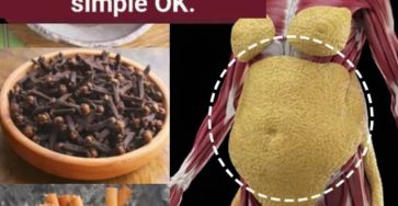 631546160 1537101057945174 307026800735686134 n