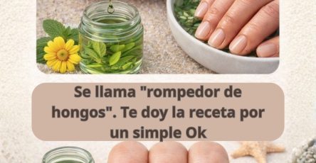 631637536 1539019697753310 7539500567369924928 n