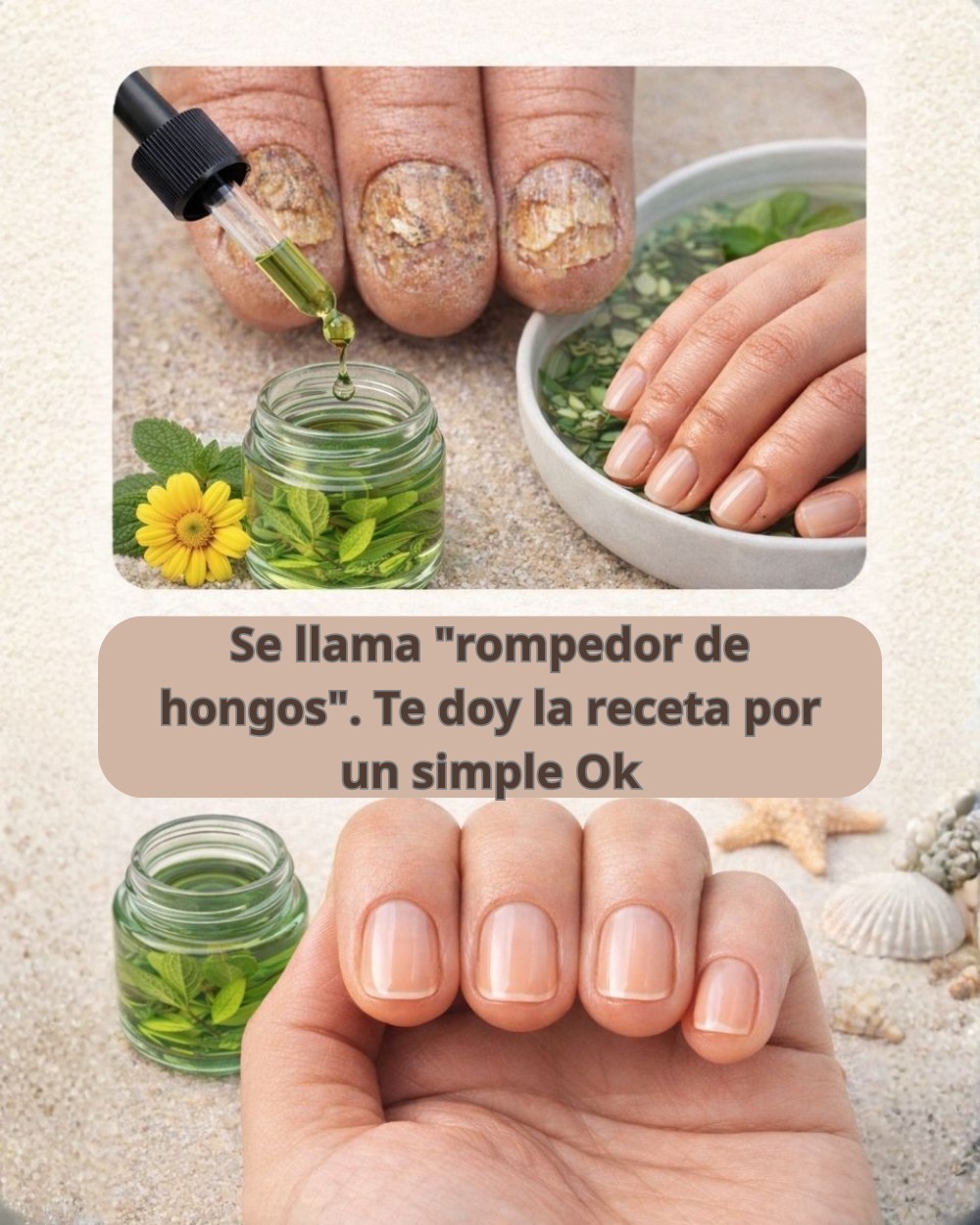 631637536 1539019697753310 7539500567369924928 n