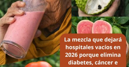 631677786 1537788887876391 855343143984155583 n