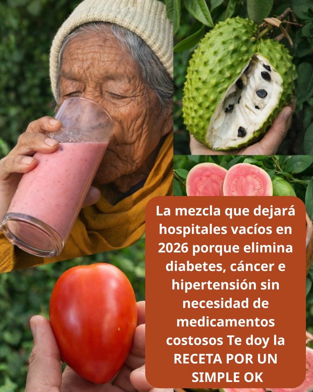 631677786 1537788887876391 855343143984155583 n