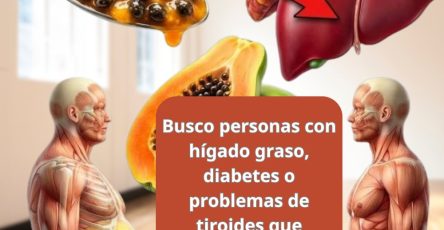 632379059 1539127257742554 7619117414340371059 n