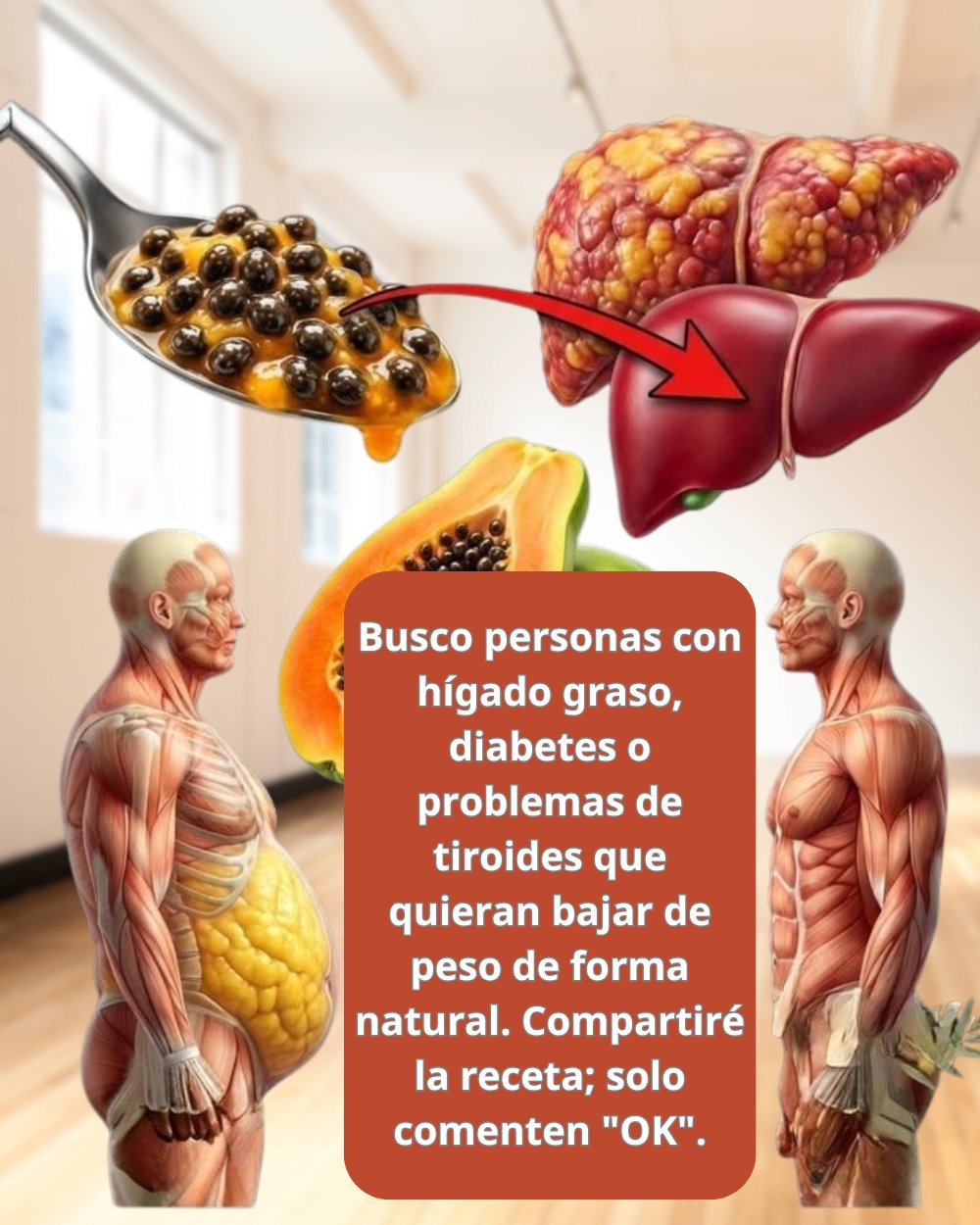 632379059 1539127257742554 7619117414340371059 n