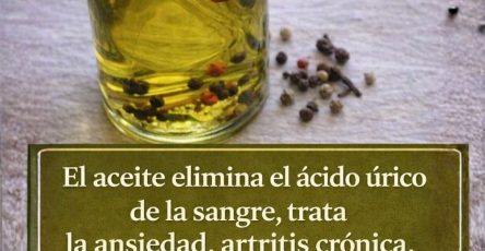 632606127 1539904510998162 9027015077363001809 n