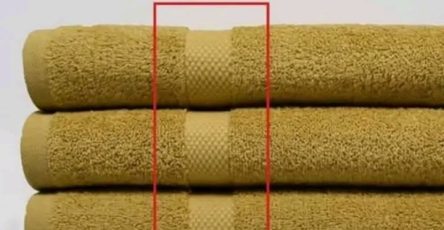 633566164 1452844536235648 8207963046626212530 n