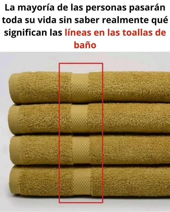 633566164 1452844536235648 8207963046626212530 n