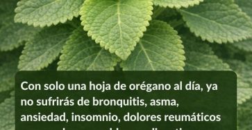 633870981 1543709483950998 7767829118607511012 n