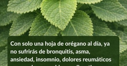 633870981 1543709483950998 7767829118607511012 n