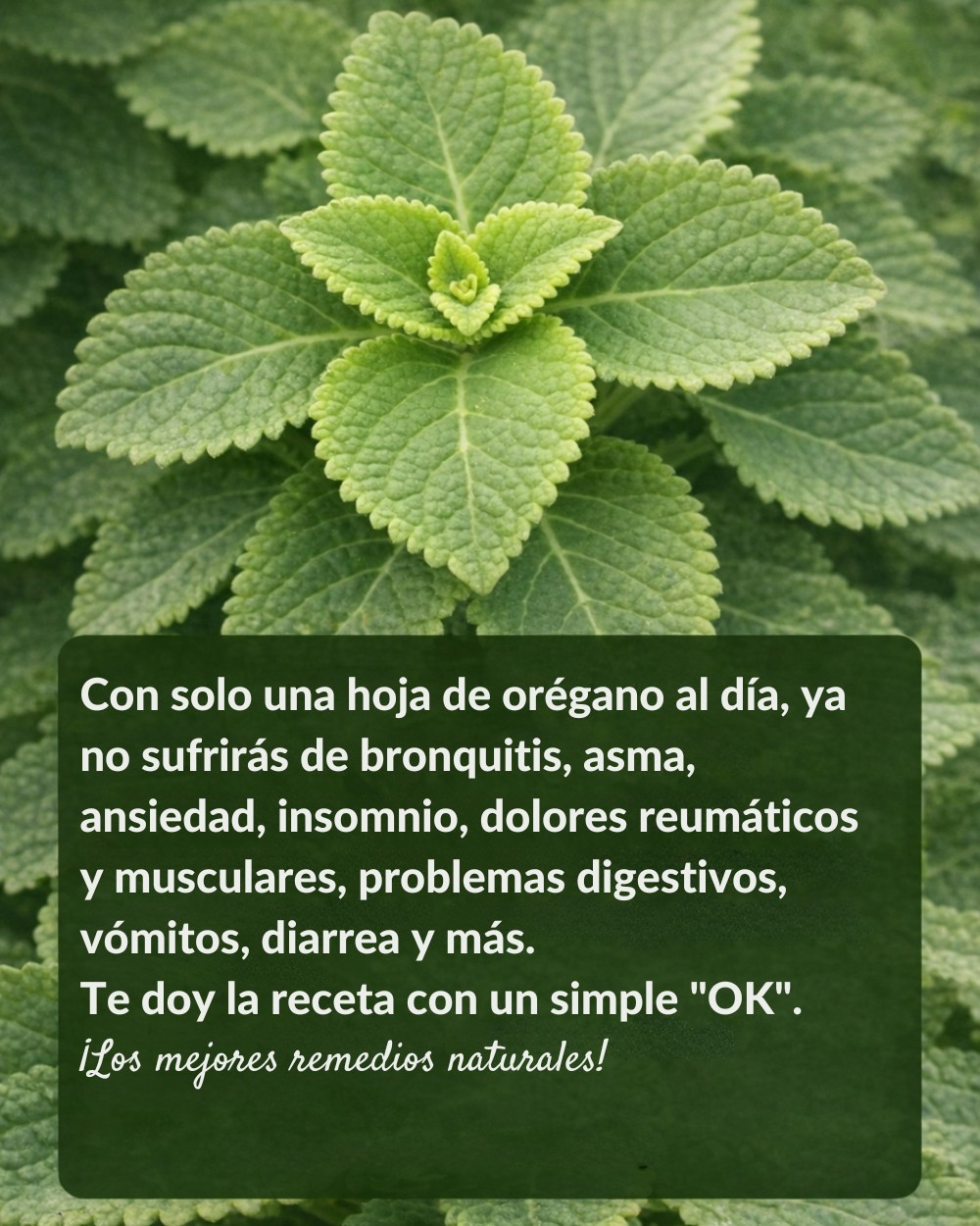 633870981 1543709483950998 7767829118607511012 n