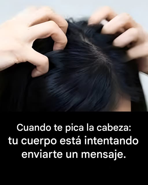 634847298 938465058687865 7041438621720672302 n