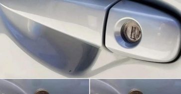 636845965 916478327739937 1449400368934935321 n