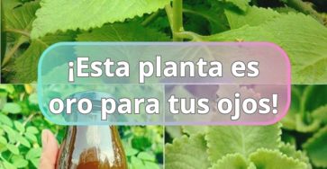 637173310 1547210246934255 6277819763247166922 n