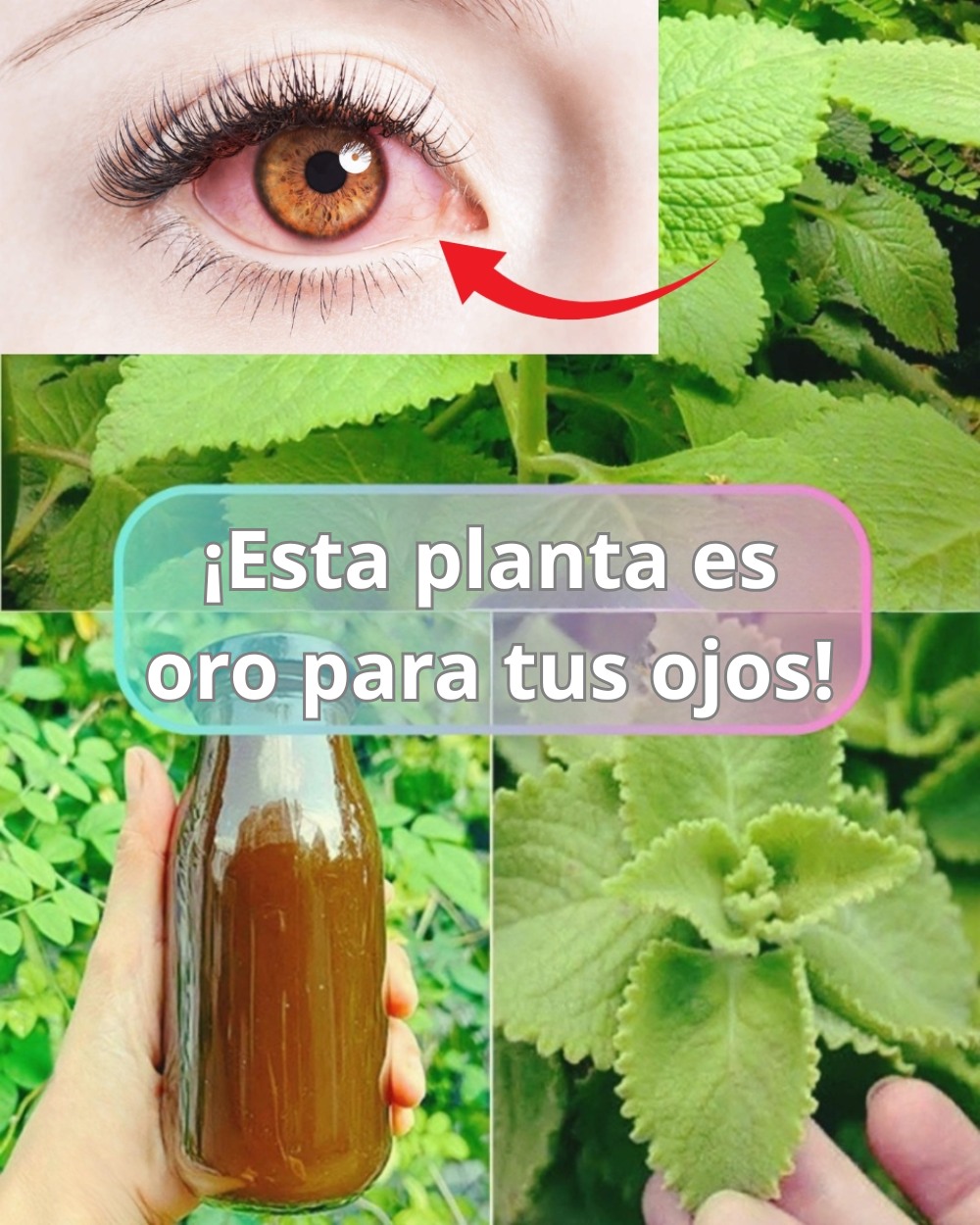 637173310 1547210246934255 6277819763247166922 n