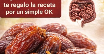 637380433 1546346977020582 5955529038062992520 n