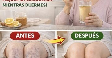 637661452 1547095136945766 5133551035071446638 n