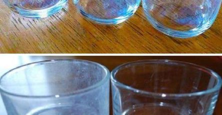 638108209 122115397605191853 5931054580101573521 n