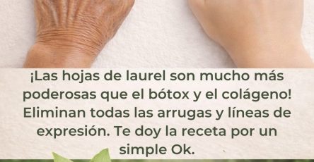 640060081 1549809696674310 3788235681940722600 n