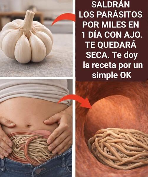 640263991 122196187232578879 1598645635418389710 n