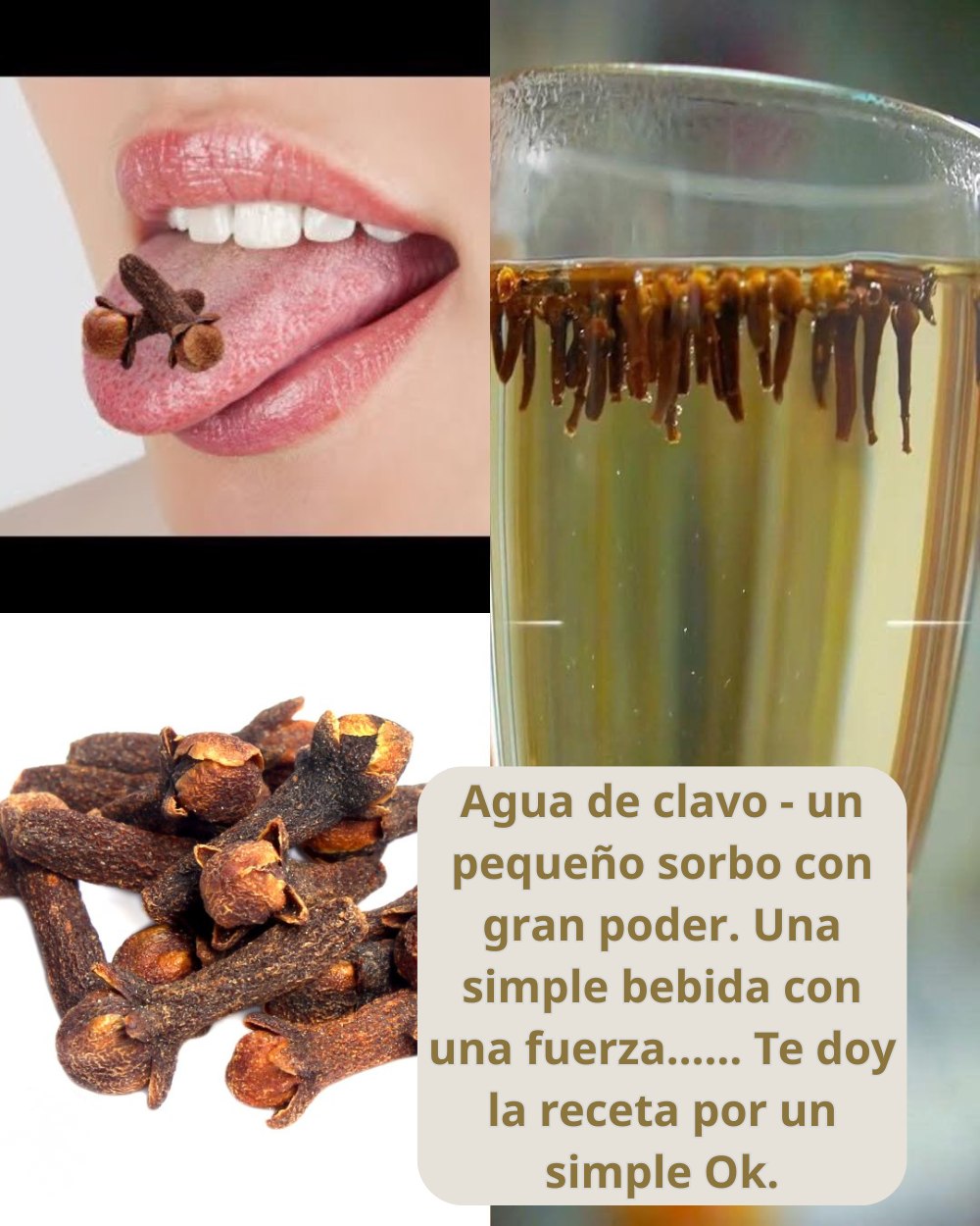 641353868 1553157756339504 513021151869869215 n