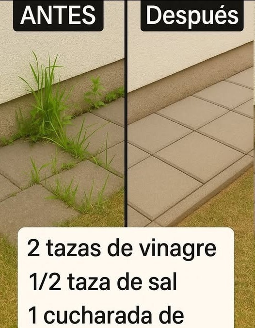 641386024 1455290612775313 8408790236851414840 n