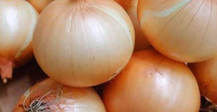 641571987 904340522312915 6871767094989704557 n