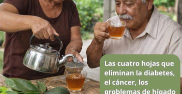 641598408 1550610089927604 1055057573647010167 n