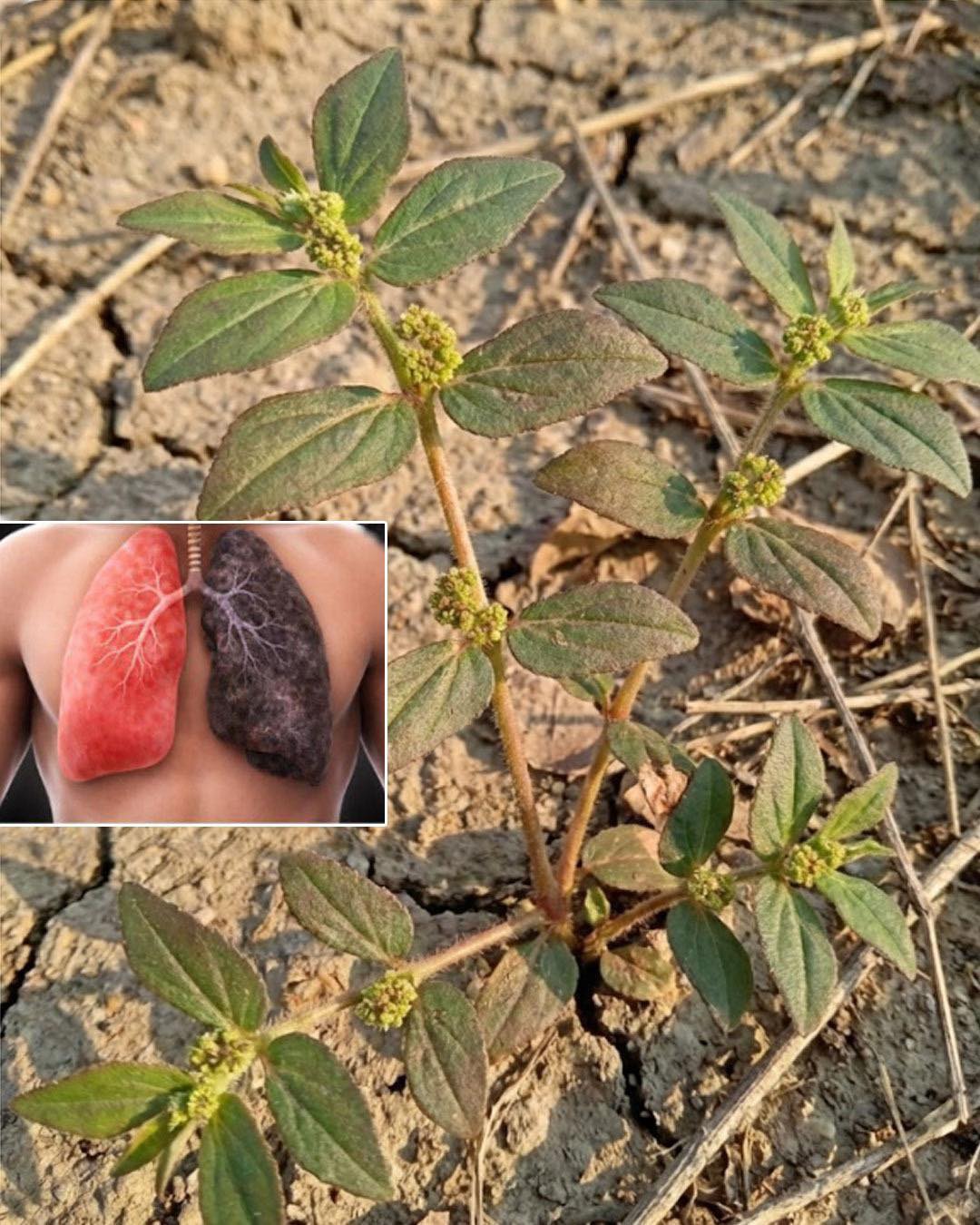 641667921 122216719964270296 1562703462624473339 n