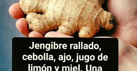 643328725 1488972952789409 4905028428362889845 n