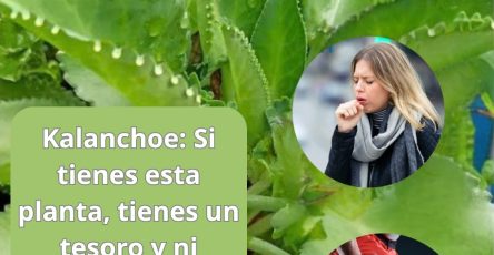 643418043 1552832583038688 3030256927432284586 n