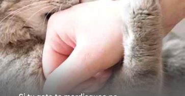 644359279 122187883574470533 1074643189456320733 n