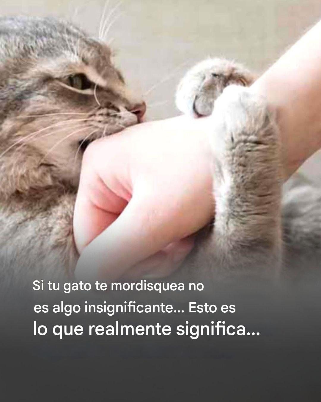 644359279 122187883574470533 1074643189456320733 n