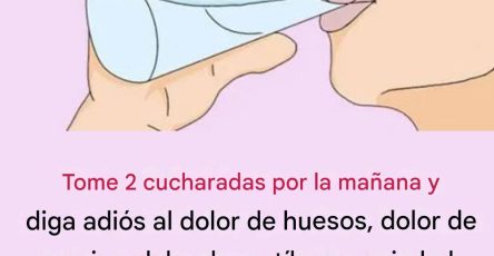 644409615 1457013309420379 7124909733869061190 n