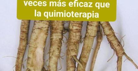 644924668 1474226887831652 2176005672141347326 n