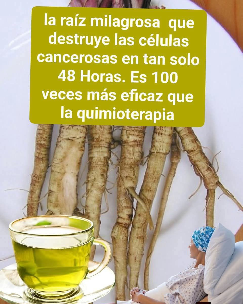 644924668 1474226887831652 2176005672141347326 n