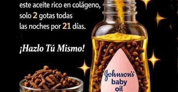 646679463 1557232449265368 120937587078951869 n