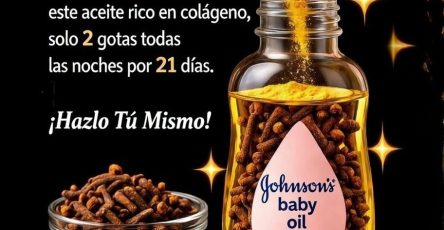 646679463 1557232449265368 120937587078951869 n