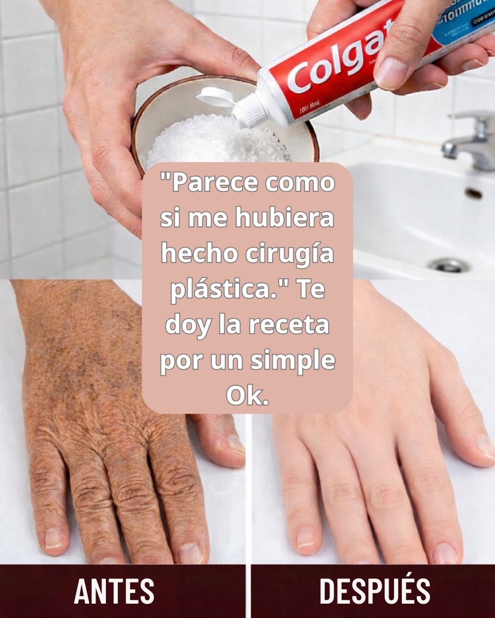 647010352 1560435408945072 2528303530306643517 n