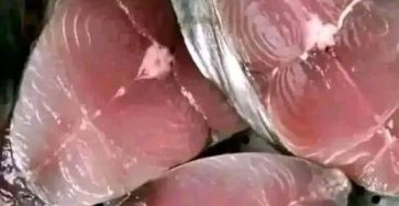 647017844 2127390281432743 1112267253929239250 n