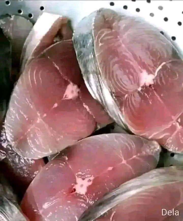 647017844 2127390281432743 1112267253929239250 n