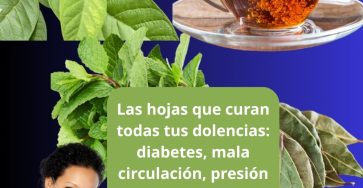 647552693 1561101838878429 5780861550616764981 n