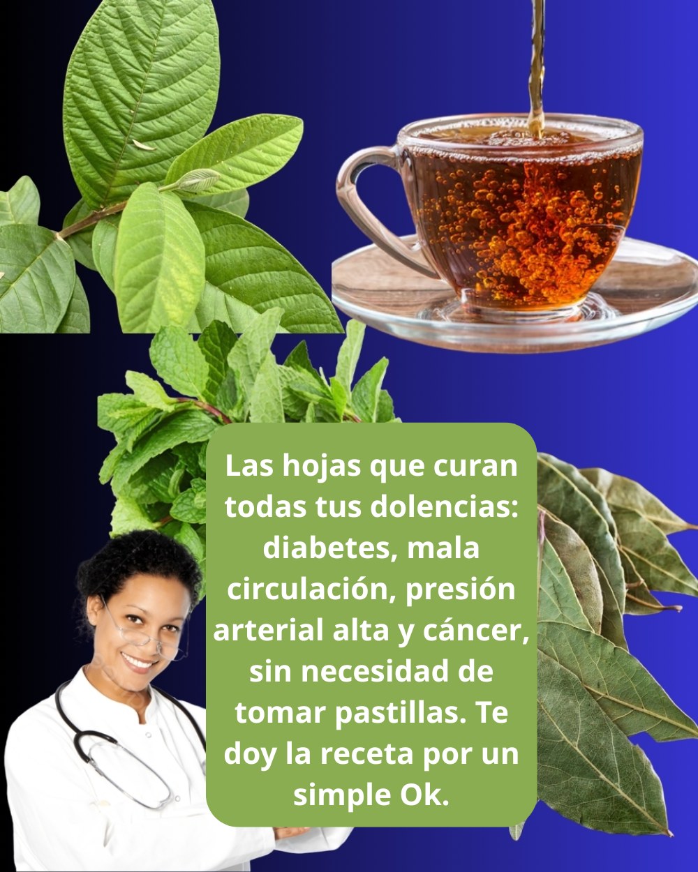 647552693 1561101838878429 5780861550616764981 n