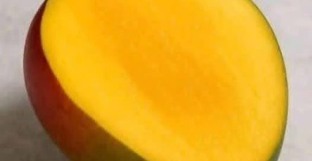 647806430 1470159517837483 873027445813238955 n