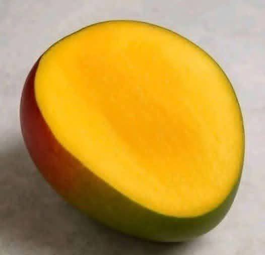 647806430 1470159517837483 873027445813238955 n