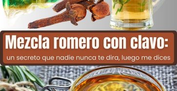 648534389 122155398938958793 6143344209638882477 n