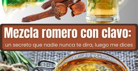 648534389 122155398938958793 6143344209638882477 n