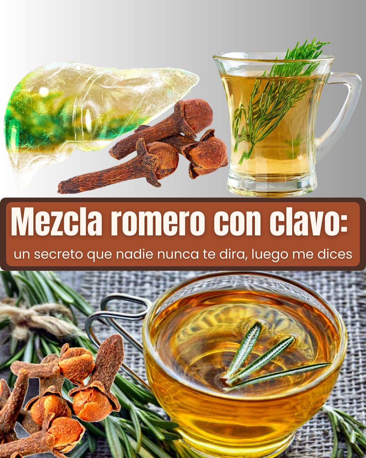 648534389 122155398938958793 6143344209638882477 n